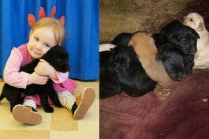 Darby’s Happy Tail: From the Dirt to a Lifelong Friendship