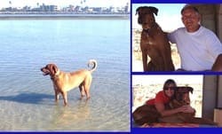 Ranger Marshall, Memorial