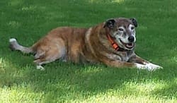 Bubba Brooks, Memorial