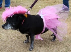 Missy Huff, Memorial