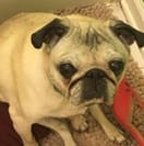 Roxie Midgley, Memorial