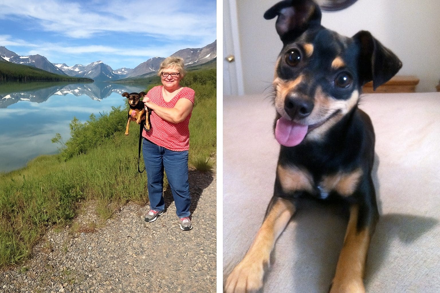 Side-by-side photos of Molly: one traveling with her mom, the other smiling indoors with tongue out.